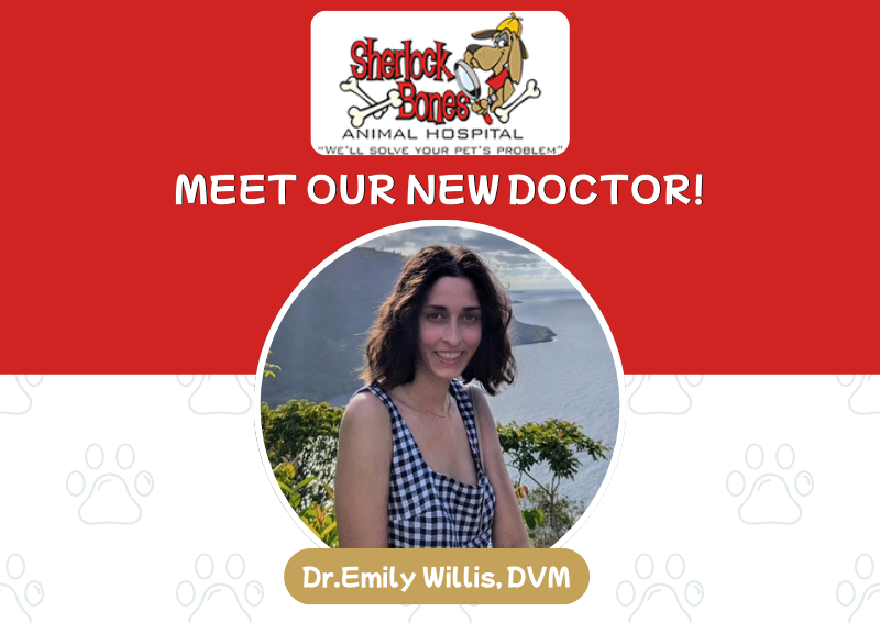 Carousel Slide 1: Click here to book now!